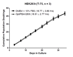 Expansion of HEK293t Cells in OptiPEAK HEK293t