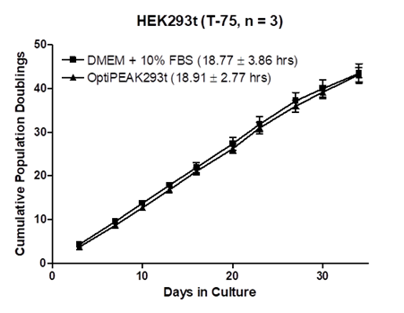 Expansion of HEK293t Cells Flasks in Cell Culture Media