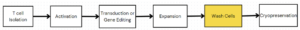 Process flow diagram for T cell therapy, showing the stages from T cell isolation to cryopreservation. Key stages include T cell isolation, activation, gene editing, expansion, washing, and cryopreservation, with the cell wash step highlighted."