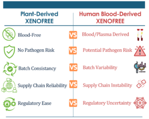 A comparison chart between plant-derived xeno-free and human-derived xeno-free products showing blood-free, no pathogen risk, batch consistency, ethically sourced, and regulatory ease advantages for plant-derived products versus risks associated with human-derived products.