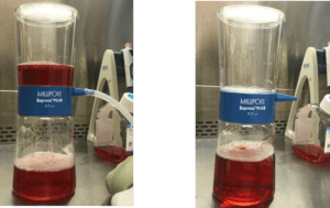 Filtration of Cellastim-S supplemented cell culture medium through a 0.22 µm Millipore Express Plus filter in a sterile laboratory environment.