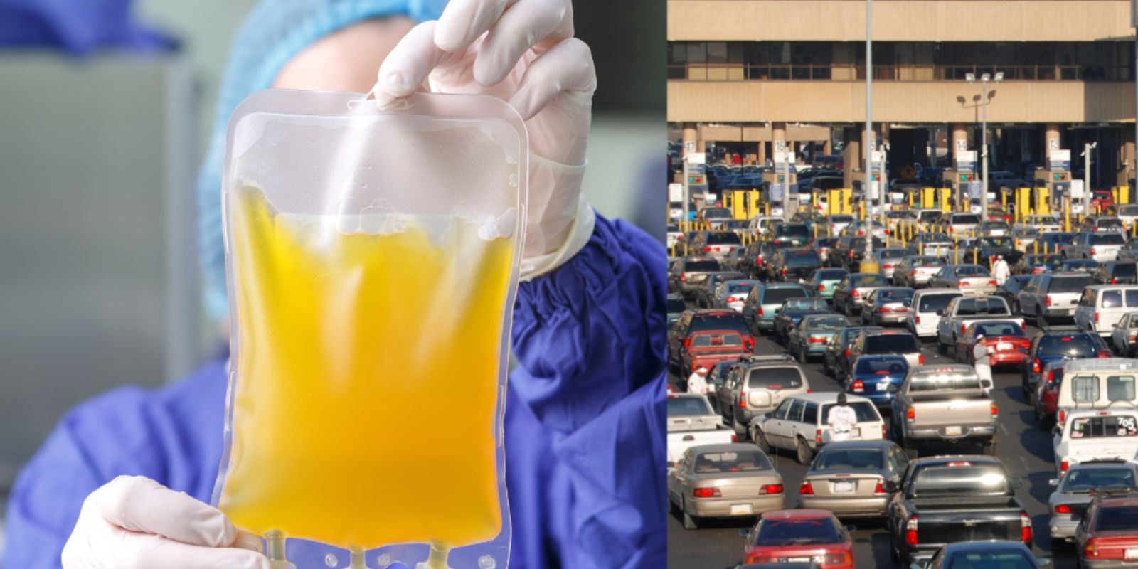 Split image showing a medical technician holding a plasma bag next to a busy U.S.–Mexico border crossing packed with vehicles. Represents plasma supply dependency on cross-border donors.