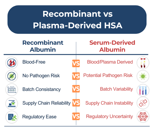 Comparison chart showing key differences between recombinant human serum albumin (HSA) and plasma-derived HSA, including blood-free sourcing, pathogen risk, batch consistency, supply chain reliability, and regulatory certainty.